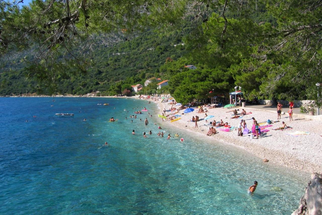 Apartments By The Sea Zivogosce - Porat, Makarska - 20207 إيغراني المظهر الخارجي الصورة