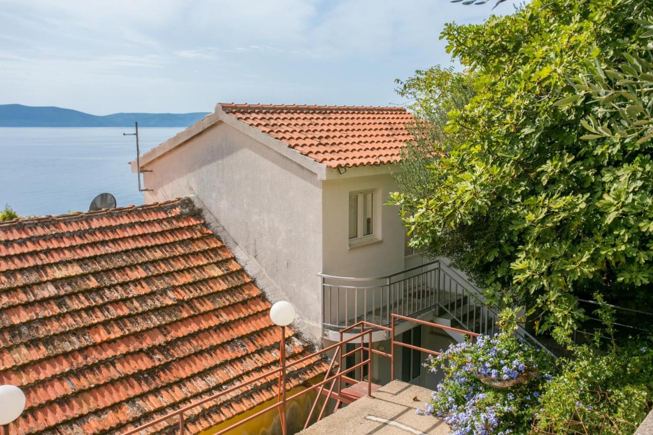 Apartments By The Sea Zivogosce - Porat, Makarska - 20207 إيغراني المظهر الخارجي الصورة
