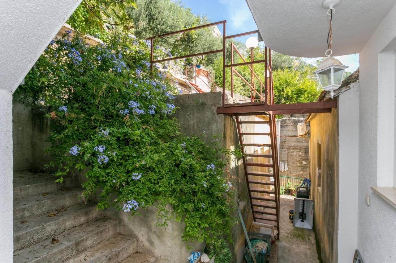Apartments By The Sea Zivogosce - Porat, Makarska - 20207 إيغراني المظهر الخارجي الصورة
