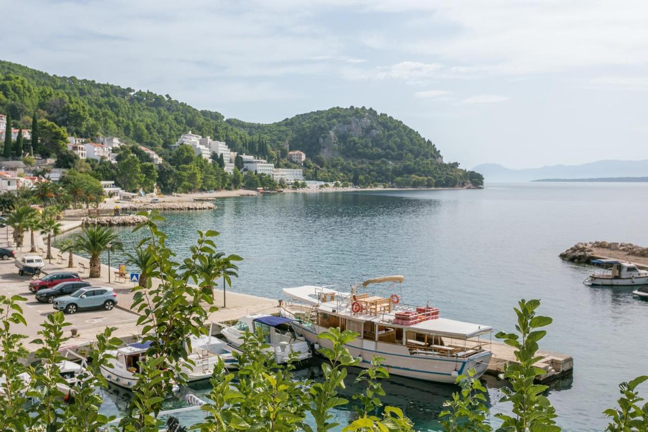 Apartments By The Sea Zivogosce - Porat, Makarska - 20207 إيغراني المظهر الخارجي الصورة